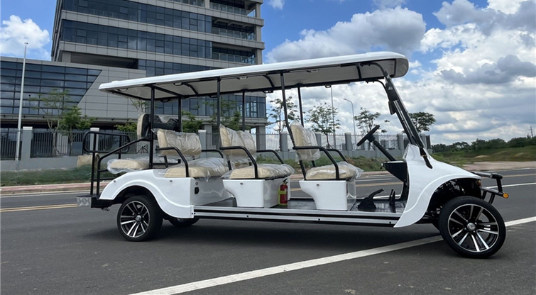 6 2座高尔夫球车